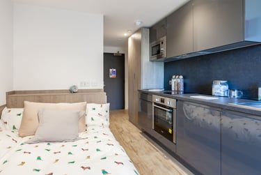 Superior Studio at Pavilion Point, 118-132 London Road, The Level, Brighton, BN14JH - Image 8